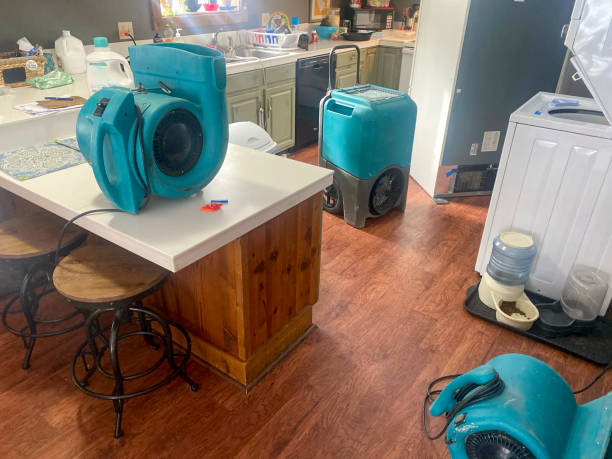 Best Water damage contractors near me  in Glenshaw, PA
