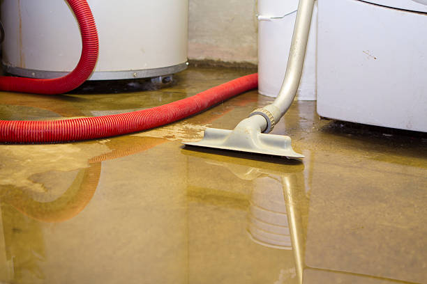 Best 24/7 water damage repair  in Glenshaw, PA