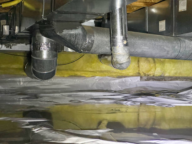 Best Professional water damage repair  in Glenshaw, PA