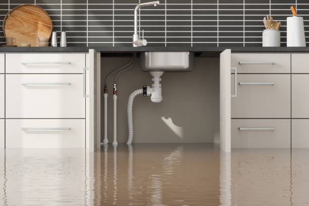 Best Professional water damage repair  in Glenshaw, PA