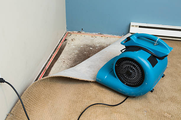 Best Water damage restoration experts  in Glenshaw, PA